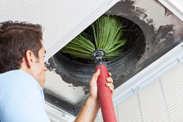 Best Professional Duct Cleaning Services  in Duquesne, PA